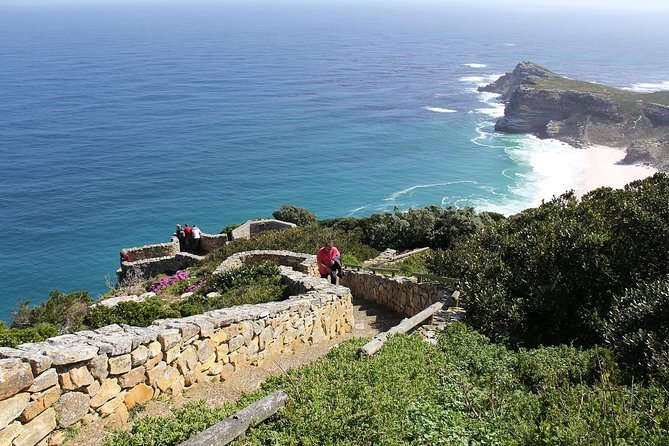 Best of The Cape Full Day Private Tour with Table Mountain - Chapman’s Peak Drive Viewpoint: A Scenic Drive With a Real Payoff