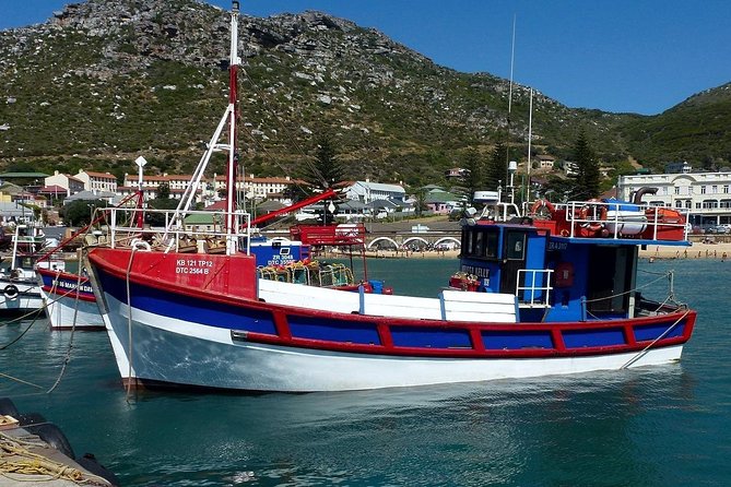 Best of The Cape Full Day Private Tour with Table Mountain - Noordhoek Coffee at the Harbor Side: A Friendly Optional Break