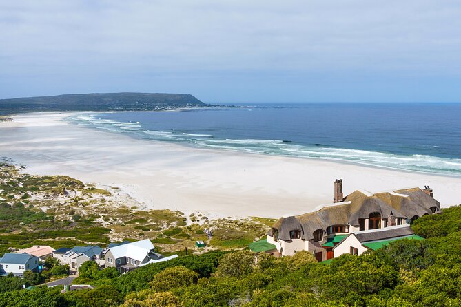 Best of The Cape Full Day Private Tour with Table Mountain - Boulders Beach Penguins: Close-Up Wildlife Time