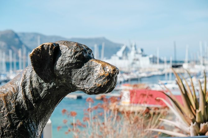 Best of the Cape Peninsula Private Tour - Boulders Beach Penguin Colony: Deck Views Plus Willis Walk