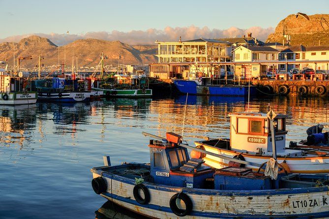 Best of the Cape Peninsula Private Tour - Cape Point: Lighthouse View Options and Diaz Beach Alternatives
