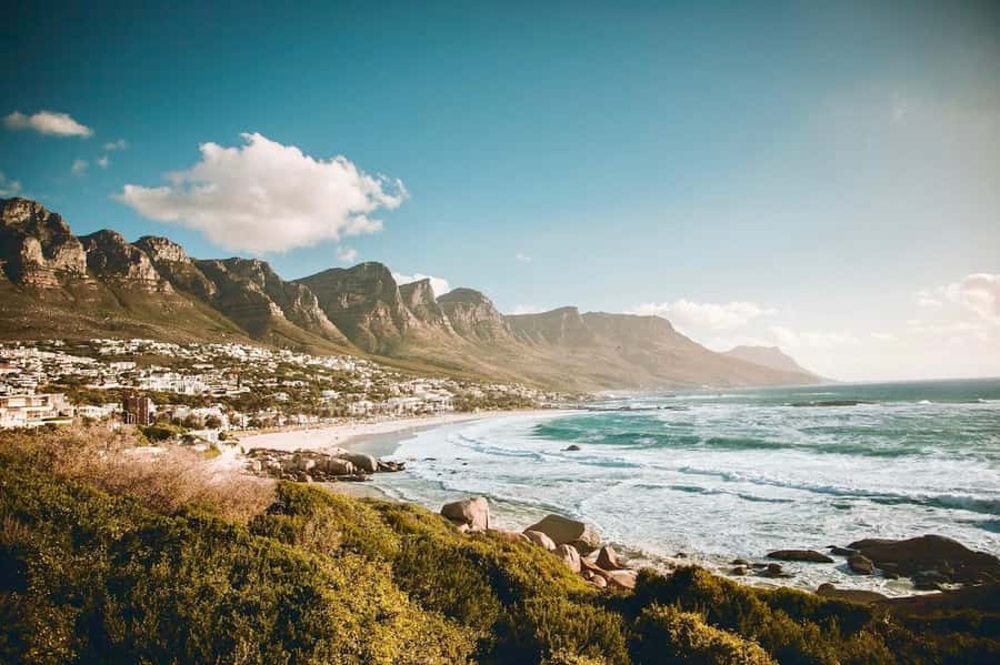 Best of the Cape Peninsula & Wine Route with Wine Tasting - Stellenbosch Wine Route: Tasting, Cellar Tour, and Included Cheese