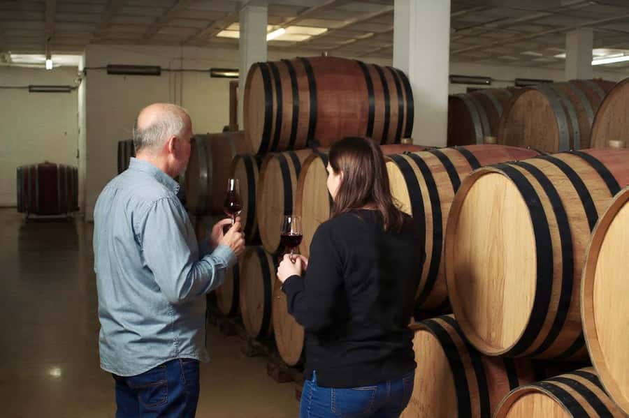 Best of the Cape Peninsula & Wine Route with Wine Tasting - Guide and Group Vibe, Including Language Tips