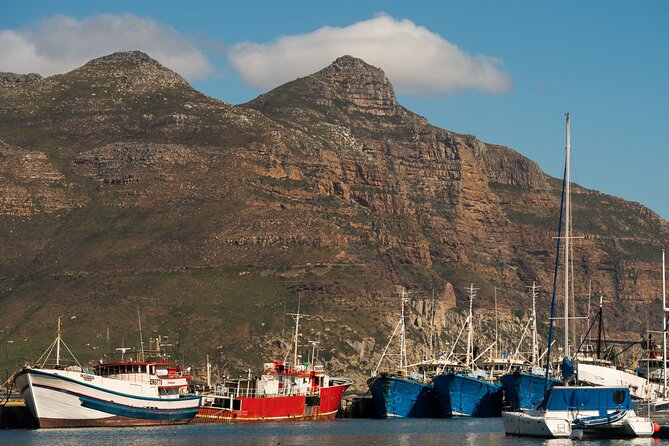 Best of the Cape Private full day tour - The Cape Peninsula, in One Private 8-Hour Loop