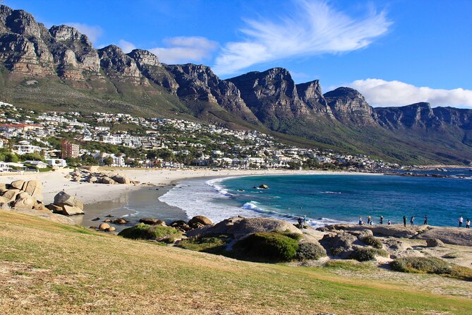 Best of the Cape Private full day tour - Cape Point Vineyards Wine Tasting (About 1 Hour)