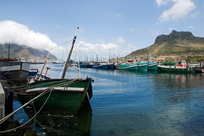 Best of the Cape Private full day tour - Cape of Good Hope and Cape Point: Southern Extremes and Lighthouse Views (About 1 Hour + Walk Options)