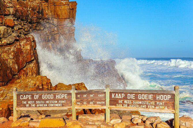Best of the Cape Private full day tour - Table Mountain Cable Car: Panoramas and the One-Hour Sweet Spot