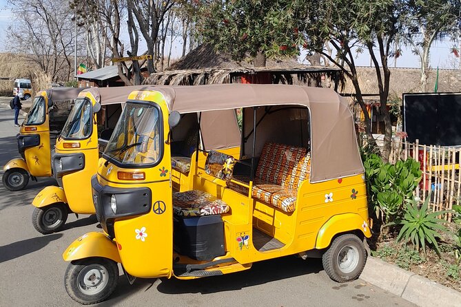 Bicycle or Tuk Tuk Soweto Guided Experience - Key Highlights You’ll Actually Notice