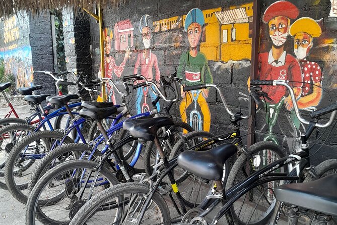 Bicycle or Tuk Tuk Soweto Guided Experience - Orlando Towers, Soweto Gold, and the Short Shantytown Walk