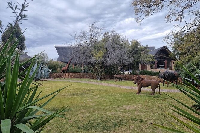 Big 5 Aquila Safari Full Day Tour and Lunch - Lunch at the lodge: what you can realistically expect