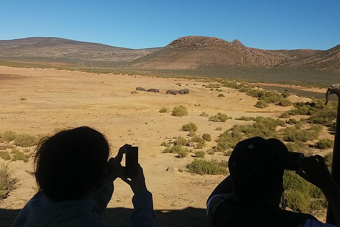 Big 5 Full Day Safari Aquila Lunch plus Breakfast From Cape Town - Aquila and the Big Five idea, without the mental workout