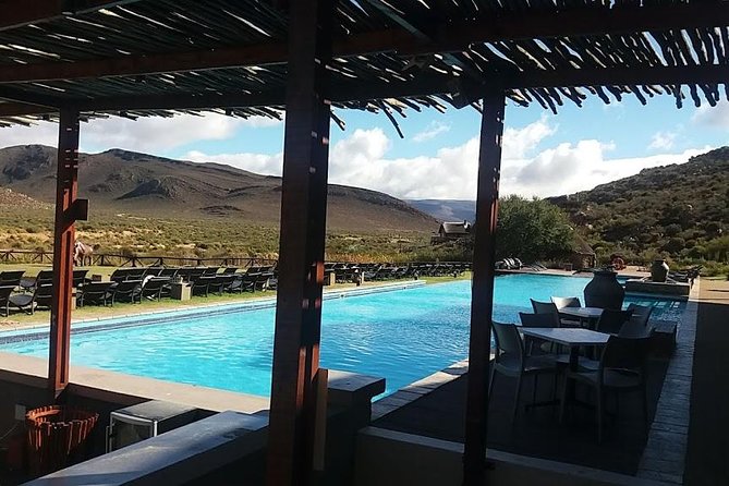 Big 5 Full Day Safari Aquila Lunch plus Breakfast From Cape Town - The open-air 4x4 game drive: how the experience actually works