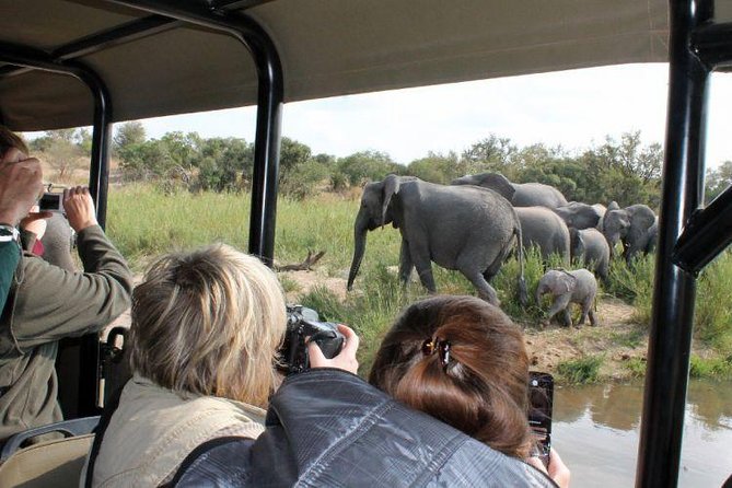 BIG 5 Kruger 3 Days Safari from Johannesburg - Key highlights at a glance