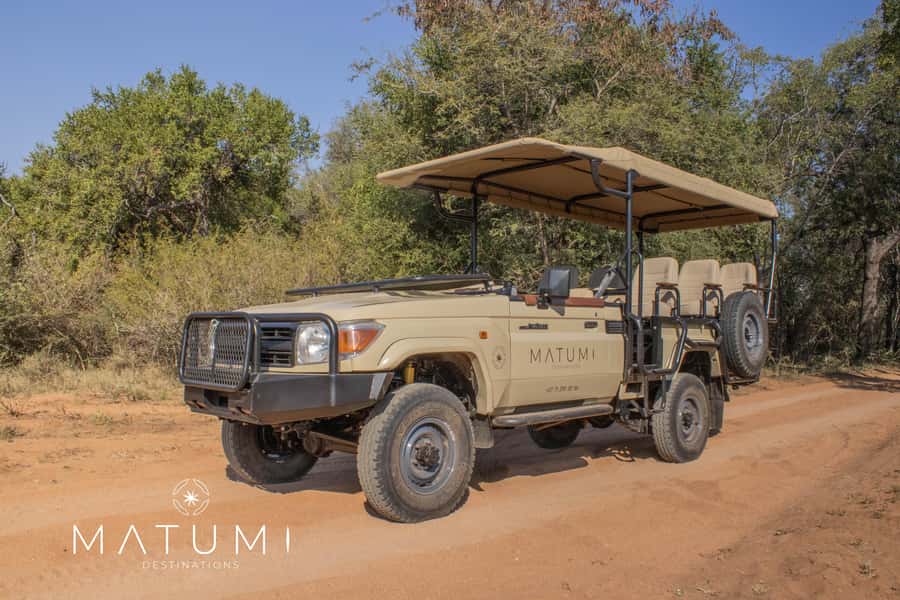 Big 5 Safari Am or Pm - Why This Half-Day Big 5 Safari Works in Limpopo