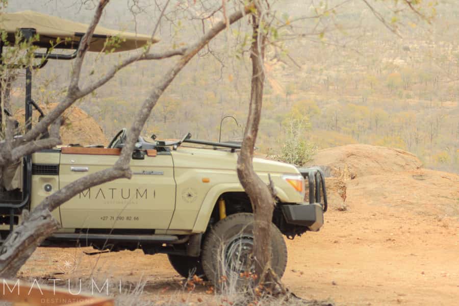 Big 5 Safari Am or Pm - Hoedspruit Pickups: Matumi Destinations or Rhino Convention Centre