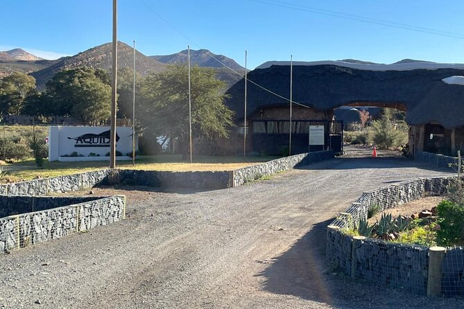 Big 5 Safari Aquila Full Day Private Return From Cape Town - What animals can you realistically expect at Aquila?