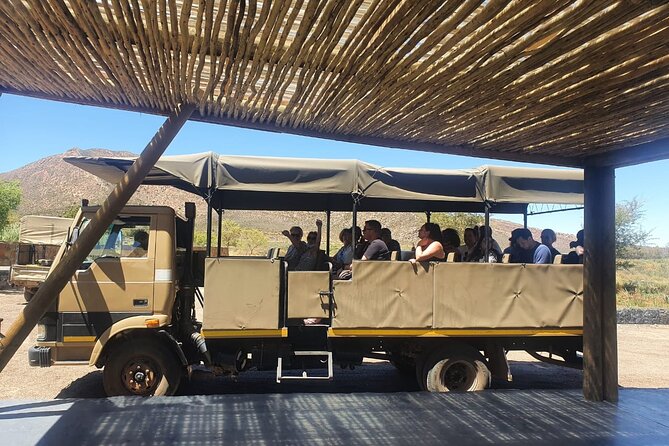 Big 5 Safari Aquila Full Day Private Return From Cape Town - Who should book this private Aquila safari day trip?