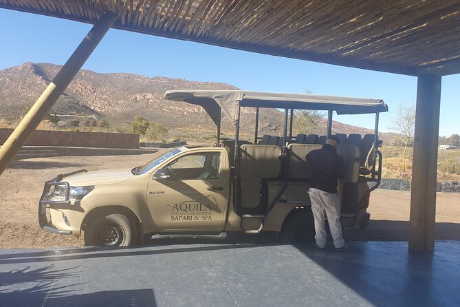 Big 5 Safari Aquila Full Day Private Return From Cape Town - Should you book this Big 5 Aquila day trip from Cape Town?
