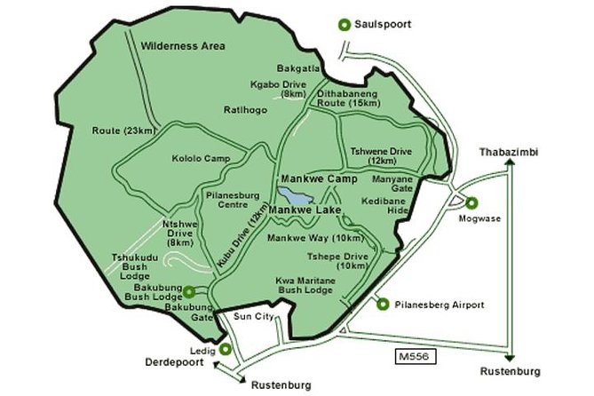 Big 5 Safari Experience at Pilanesberg National Park - Weather, group minimums, and staying flexible with your plans
