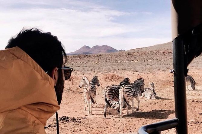 Big 5 Safari One Day Tour - Aquila Private Game Reserve: Your Big Five Game Drive in Real Time