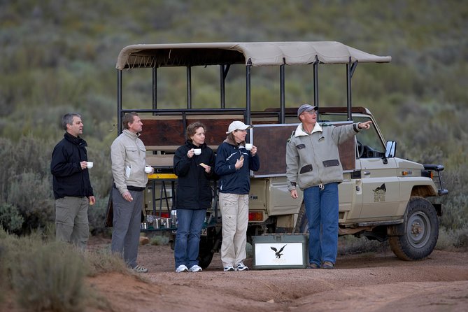 Big Five Game Reserve Wildlife Safari from Cape Town - The 3-hour open-vehicle game drive: your Big Five reality check
