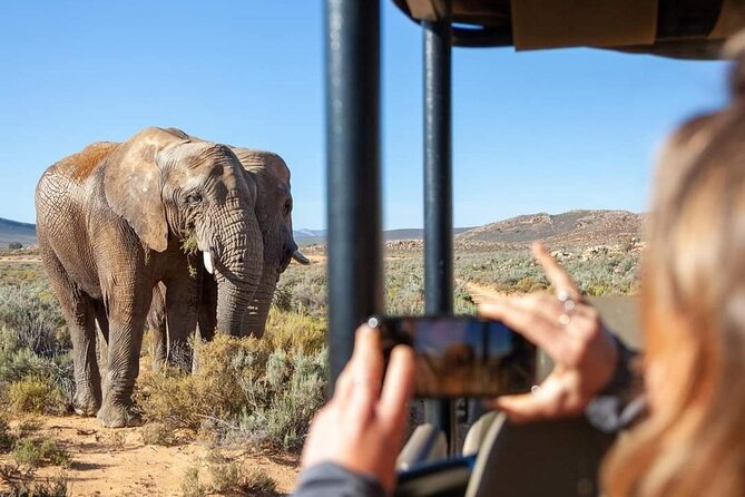 Big Five Safari Experience Near Cape Town ,South Africa - Getting picked up in Cape Town, then heading for Aquila Safari Reserve
