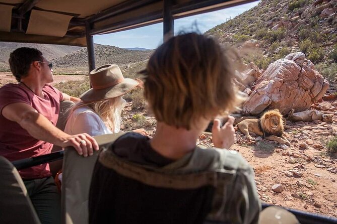 Big Five Safari Experience Near Cape Town ,South Africa - FAQ
