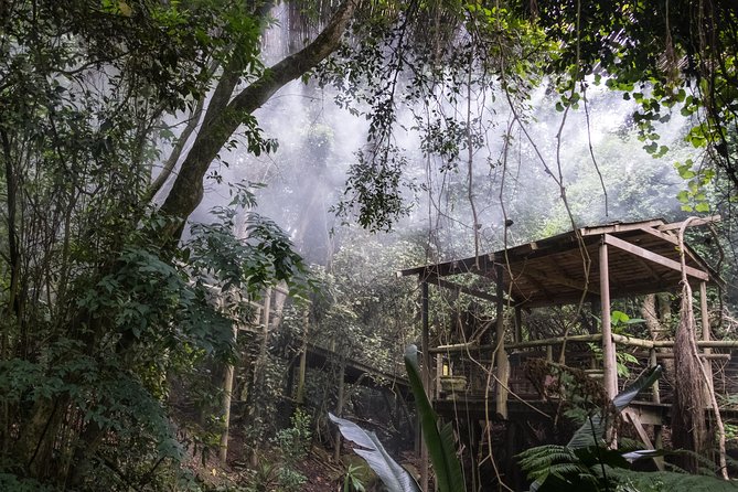 Birds of Eden Admission Ticket - Bird species highlights you’ll actually enjoy spotting