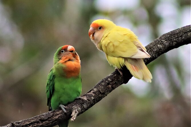 Birds of Eden Admission Ticket - Ticket value and timing: $24.82 entry with a mobile ticket you can use anytime