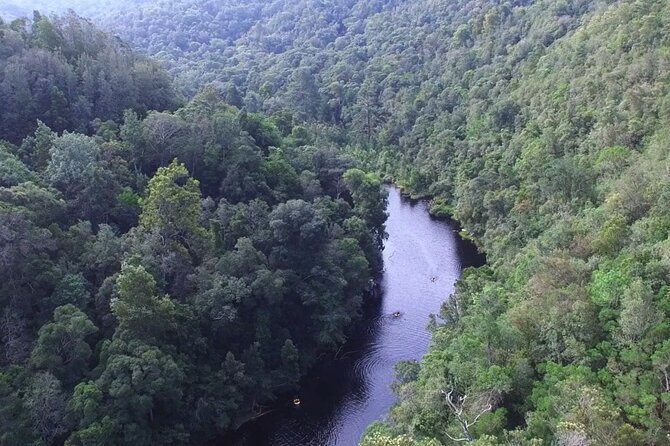 Blackwater Tubing Green Route Forest Adventure - SUP Time: Calm Paddling, Short Transitions, and Swimming Options