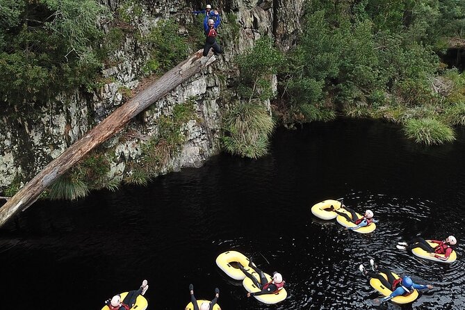 Blackwater Tubing Green Route Forest Adventure - Price and Value: What $66.38 Covers and Why the Private Format Helps