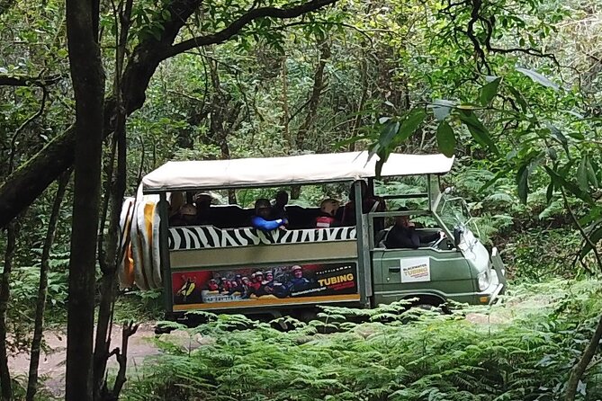 Blackwater Tubing Green Route Forest Adventure - Weather and Water-Level Reality Checks That Protect Your Fun