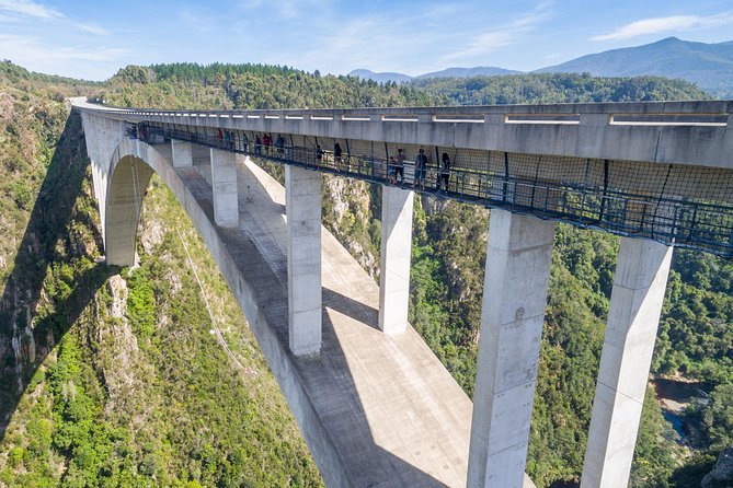 Bloukrans Bungy, the worlds best bungy jump! - Booking, timing, and what the day actually looks like