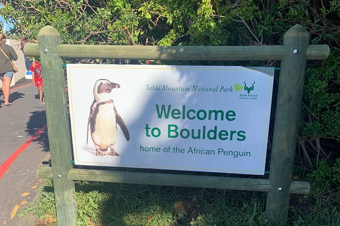 Boulders Beach Penguins and Seal Island Boat Trip Half Day Tour - How long it really takes, and what the timing means