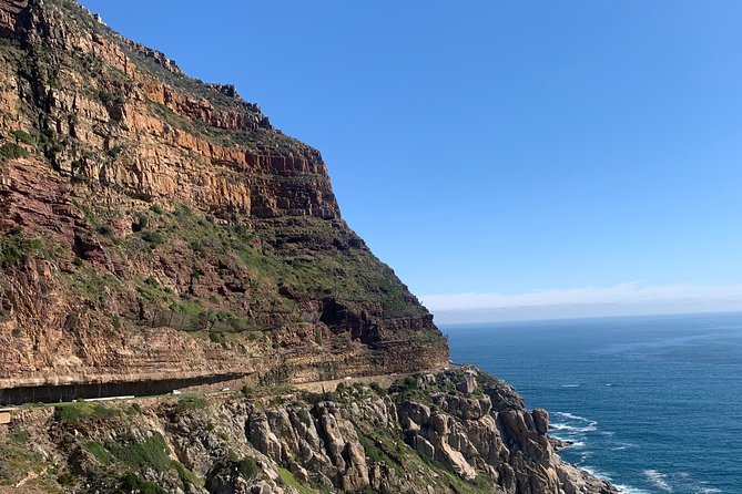 Boulders Beach Penguins and Seal Island Boat Trip Half Day Tour - Hout Bay Harbour and the Seal Island boat trip with Drumbeat Charters