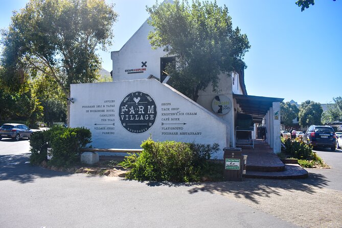 Boulders Beach Penguins Half Day Tour - Twelve Apostles and the quick photo stop you should not skip