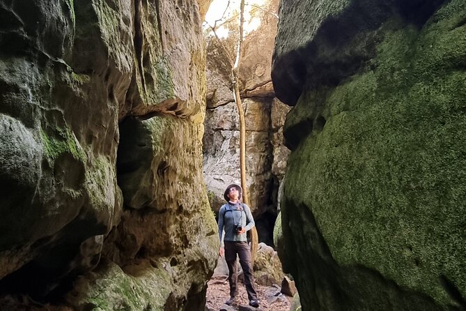 Breathtaking Table Mountain Guided Hike - Off the Beaten Track! - Views, Water, and the “Wow” Factor You Can Plan For