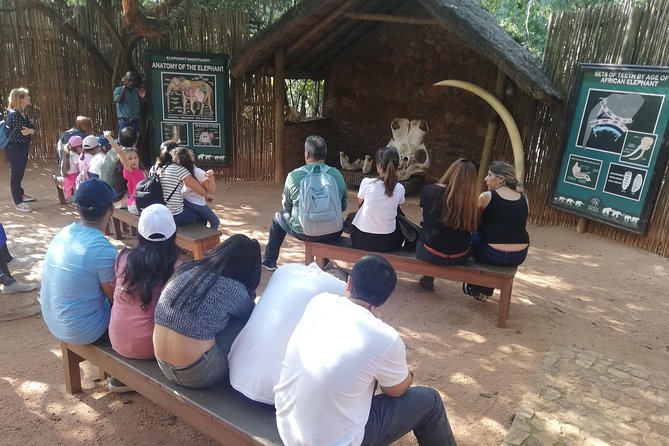 Bush Babies & Monkey Sanctuary and Elephants walk Private - Bush babies: how to set expectations for nocturnal sightings