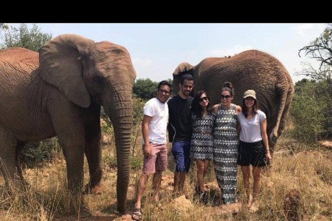 Bush Babies & Monkey Sanctuary and Elephants walk Private - Getting there: hotel pickup, private pacing, and what to bring