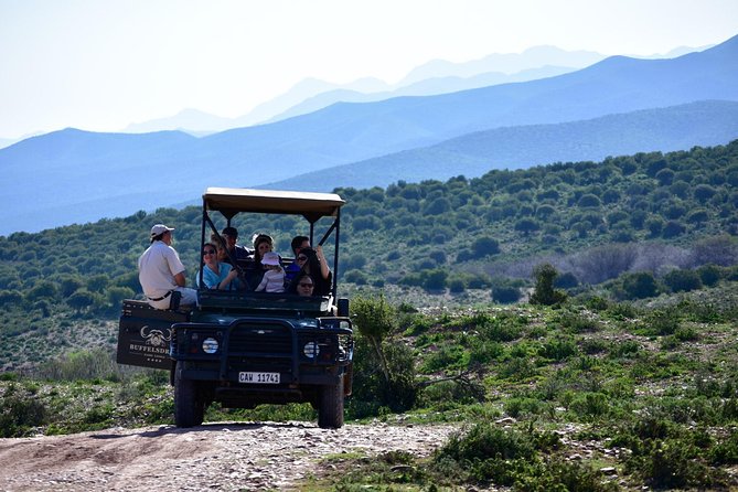 Bush Safari - Quick reasons this bush safari works