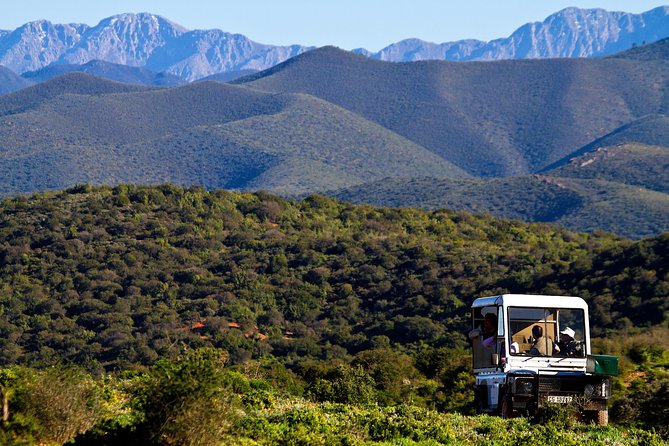 Bush Safari - The Swartberg Mountain views are not just pretty, they help you “read” the land