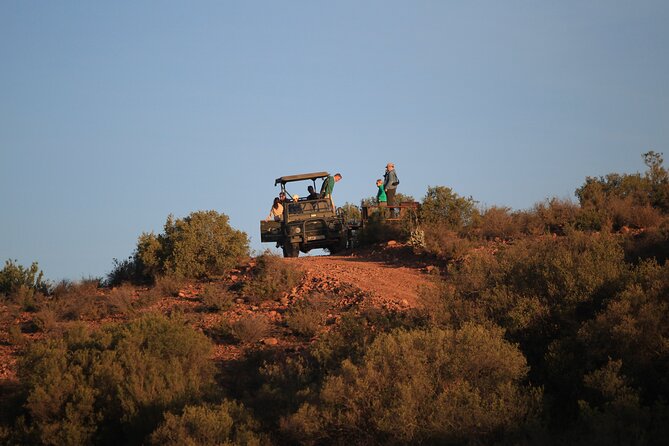 Bush Safari - Small group energy, max 30 people, and what that changes for you