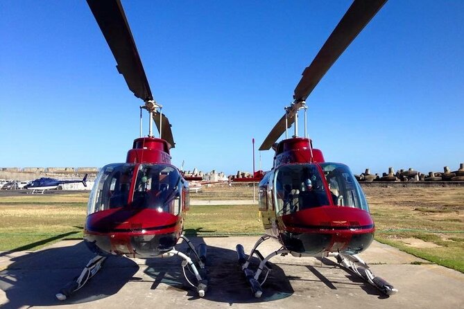 Camps Bay and Hout Bay Helicopter Tour from Cape Town - Price and value, what $199.28 buys you, and when the deal is best
