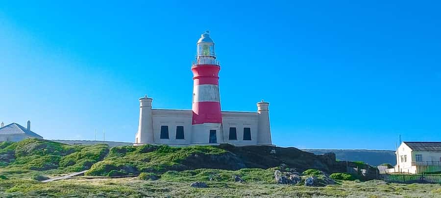 Cape Agulhas Full Day Private Tour - Betty’s Bay and Stony Point Penguins Colony, One Hour of Real Wildlife