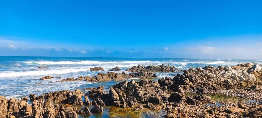 Cape Agulhas Full Day Private Tour - Should You Book This Cape Agulhas Full Day Private Tour?