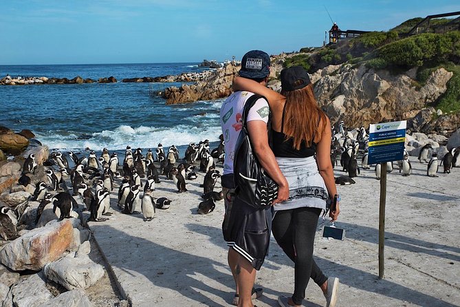 Cape Agulhas Full Day Private Tour from Cape Town - Meals, Wine Tasting, and What to Plan for Yourself