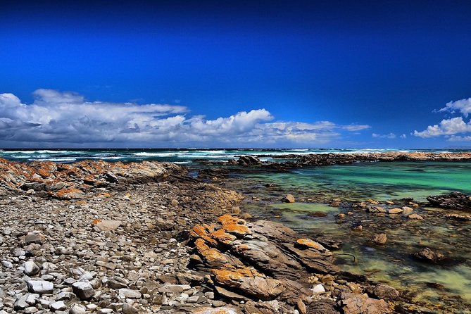 Cape Agulhas | Stony Point Nature Reserve - Overberg Stops and Farm-Country Breaks You’ll Appreciate