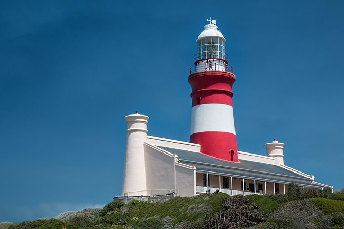Cape Agulhas | Stony Point Nature Reserve - Stony Point Nature Reserve: African Penguins If Time Allows