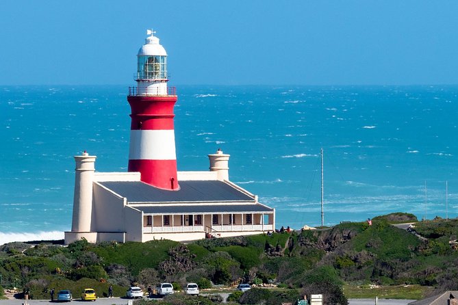 Cape Agulhas | Stony Point Nature Reserve - Price and Logistics for a Private Group Up to 2