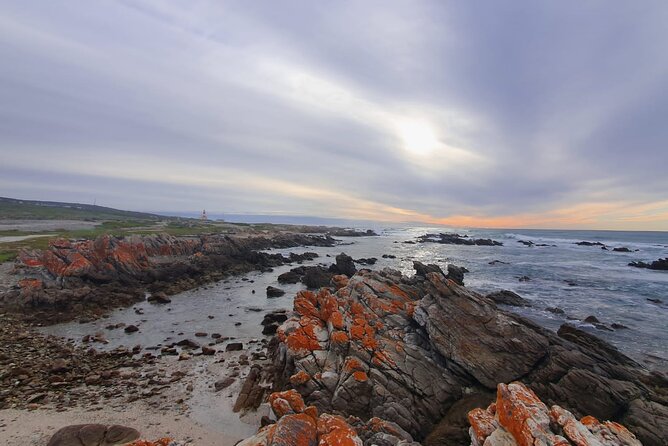 Cape Agulhas Tour - Why Cape Agulhas feels special, even on a day trip
